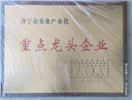 榮譽資質